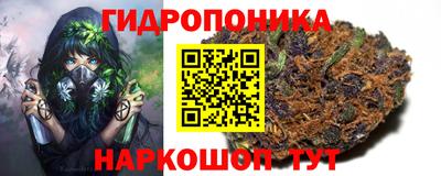 spice Кулебаки