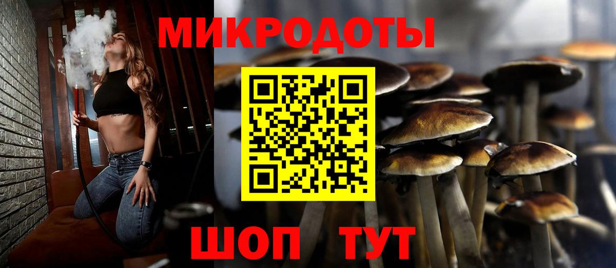 Псилоцибиновые грибы Cubensis Усть-Джегута