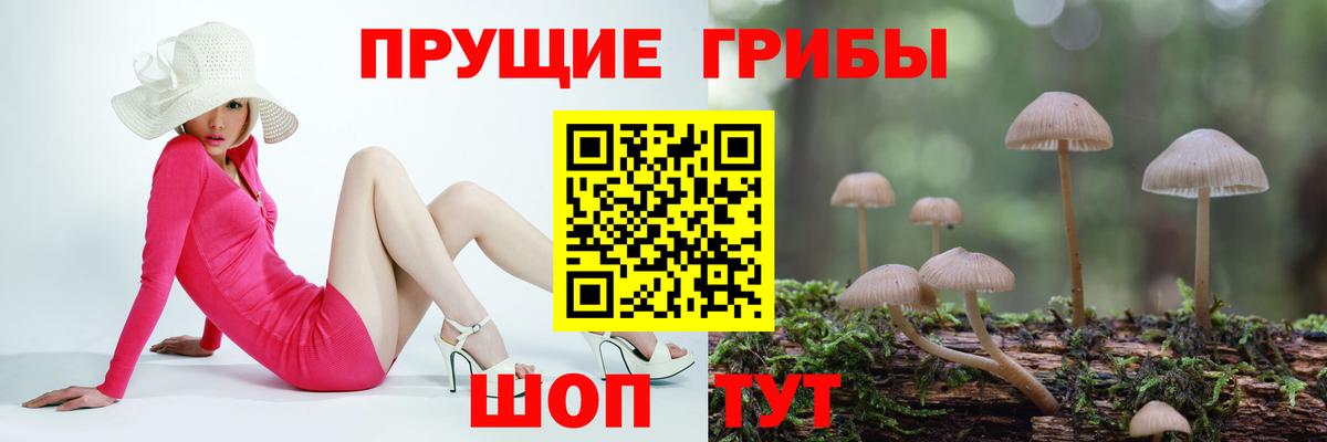 где купить наркоту  Псилоцибиновые грибы Psilocybe  Вход с VPN  Псилоцибиновые грибы Psilocybine cubensis  Усть-Джегута 