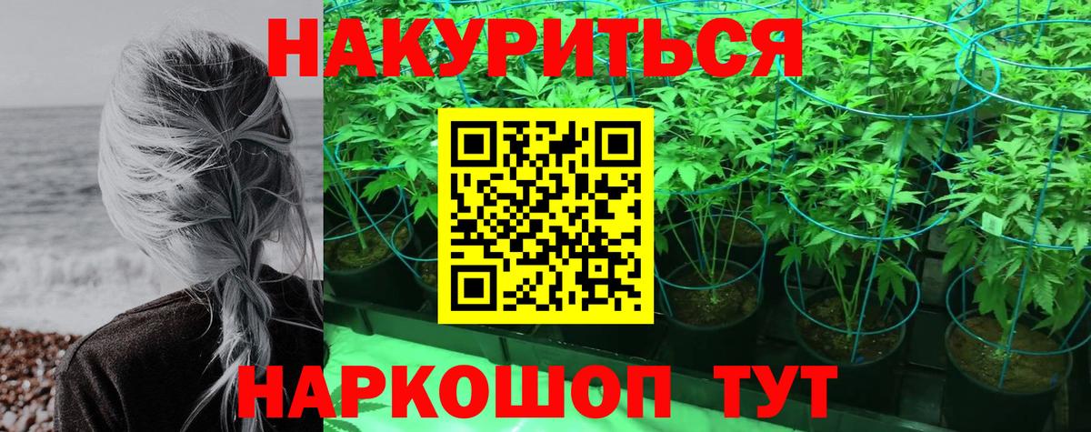 Бошки марихуана SATIVA & INDICA  Вход с VPN  Канабис OG Kush  Усть-Джегута  Конопля конопля  Шишки марихуана MAZAR 